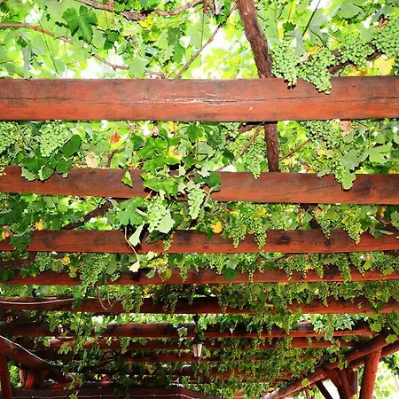 Blue * Φετιγιέ